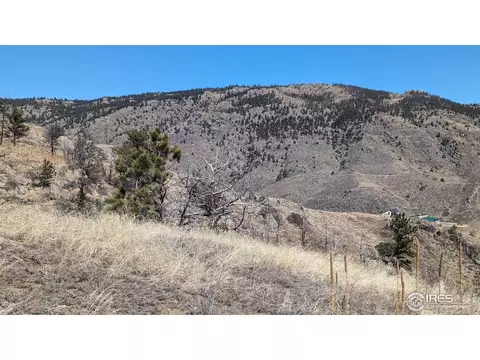 1320 Willow Patch Ln, Bellvue, CO 80512 photo 26