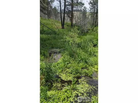 1320 Willow Patch Ln, Bellvue, CO 80512 photo 22