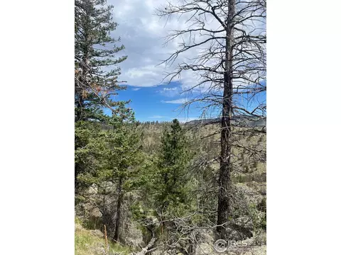 1320 Willow Patch Ln, Bellvue, CO 80512 photo 18