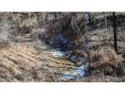 1320 Willow Patch Ln, Bellvue, CO 80512 photo 30