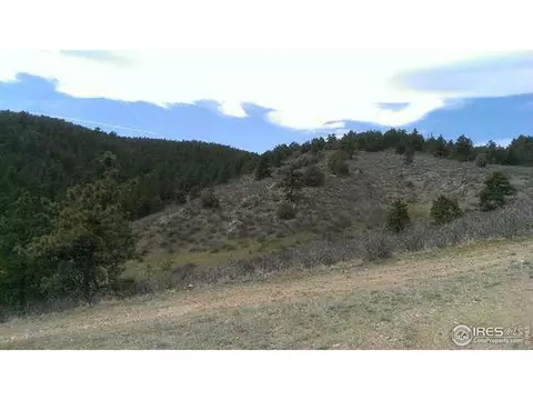 1320 Willow Patch Ln, Bellvue, CO 80512 photo 12
