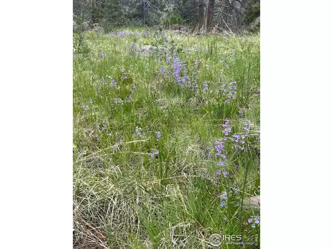 1320 Willow Patch Ln, Bellvue, CO 80512 photo 16