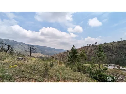 1320 Willow Patch Ln, Bellvue, CO 80512 photo 23