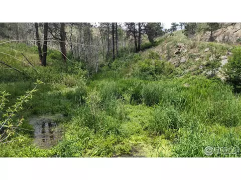 1320 Willow Patch Ln, Bellvue, CO 80512 photo 2