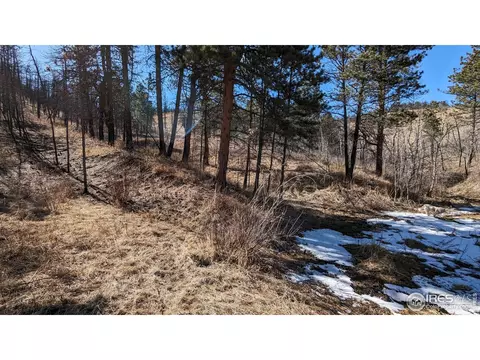 1320 Willow Patch Ln, Bellvue, CO 80512 photo 32