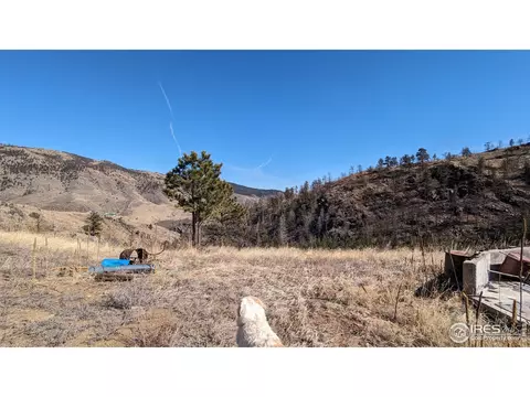 1320 Willow Patch Ln, Bellvue, CO 80512 photo 31