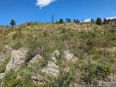 1320 Willow Patch Ln, Bellvue, CO 80512 photo 13