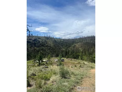 1320 Willow Patch Ln, Bellvue, CO 80512 photo 9