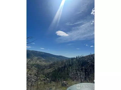 1320 Willow Patch Ln, Bellvue, CO 80512 photo 11