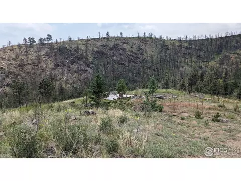 1320 Willow Patch Ln, Bellvue, CO 80512 photo 39
