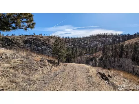 1320 Willow Patch Ln, Bellvue, CO 80512 photo 35