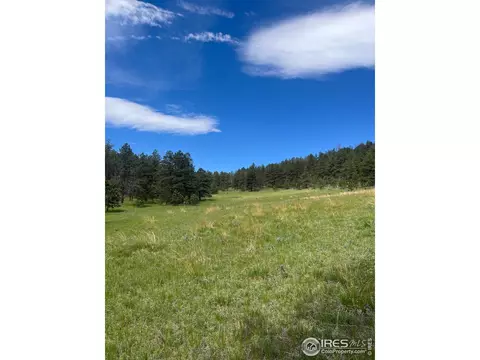 1320 Willow Patch Ln, Bellvue, CO 80512 photo 20