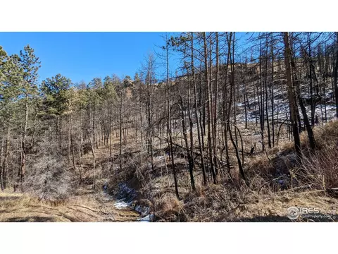 1320 Willow Patch Ln, Bellvue, CO 80512 photo 37