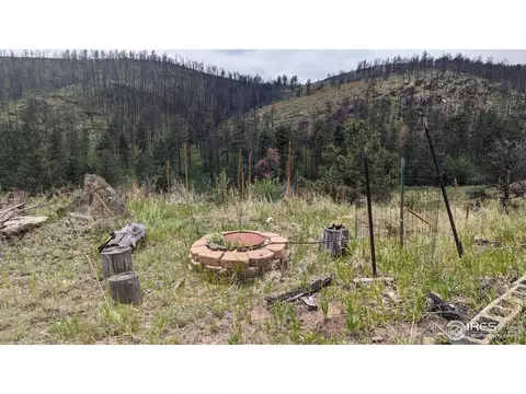 1320 Willow Patch Ln, Bellvue, CO 80512