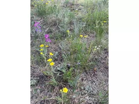 1320 Willow Patch Ln, Bellvue, CO 80512 photo 17