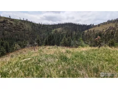 1320 Willow Patch Ln, Bellvue, CO 80512 photo 10