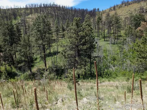 1320 Willow Patch Ln, Bellvue, CO 80512 photo 7