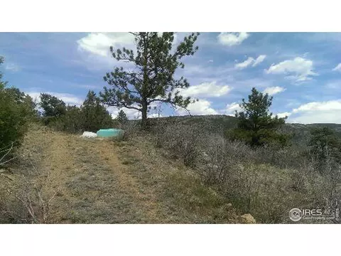 1320 Willow Patch Ln, Bellvue, CO 80512 photo 28