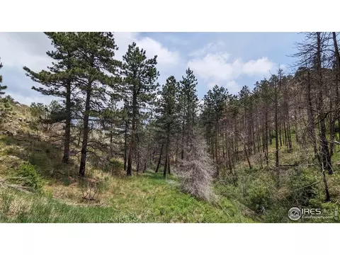 1320 Willow Patch Ln, Bellvue, CO 80512 photo 4