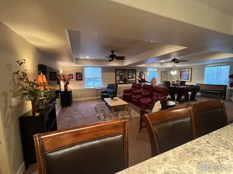 5510 Evangeline Dr, Windsor, CO 80550 photo 27