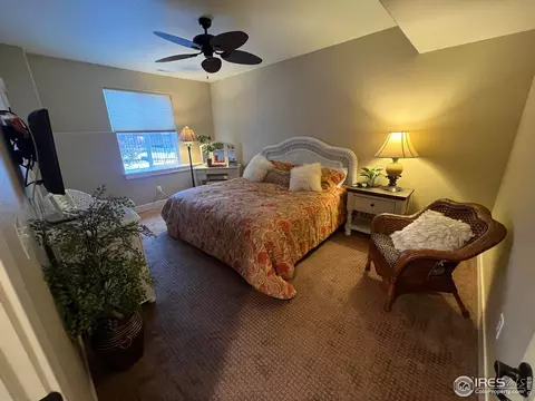 5510 Evangeline Dr, Windsor, CO 80550 photo 31