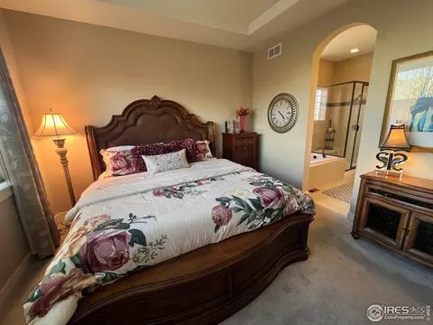 5510 Evangeline Dr, Windsor, CO 80550 photo 15