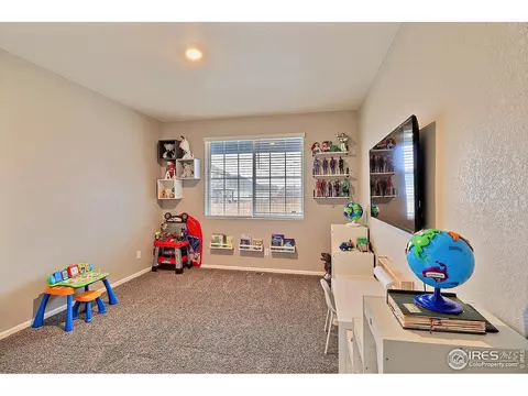 834 Camberly Dr, Windsor, CO 80550 photo 13
