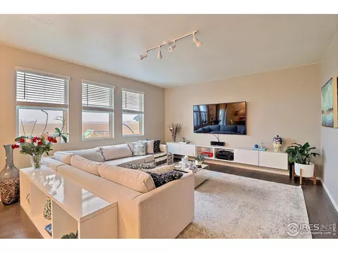 834 Camberly Dr, Windsor, CO 80550 photo 5