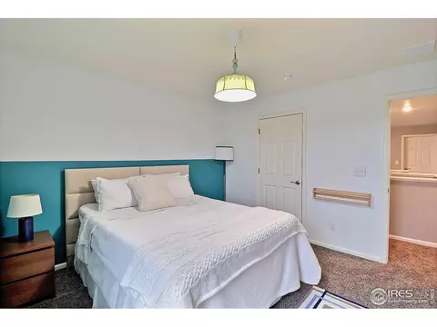 834 Camberly Dr, Windsor, CO 80550 photo 21