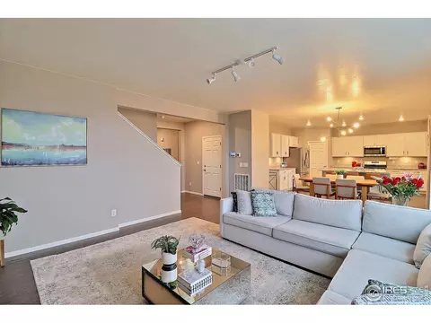 834 Camberly Dr, Windsor, CO 80550 photo 4