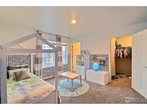 834 Camberly Dr, Windsor, CO 80550 photo 22