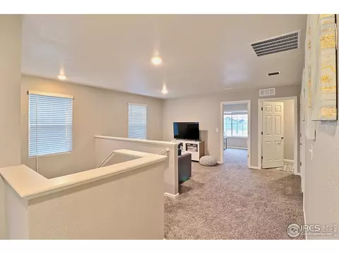 834 Camberly Dr, Windsor, CO 80550 photo 15