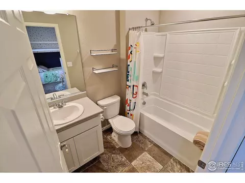 834 Camberly Dr, Windsor, CO 80550 photo 24