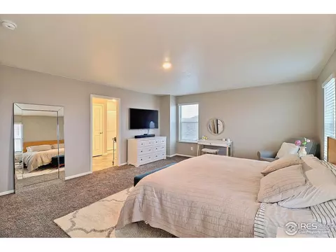 834 Camberly Dr, Windsor, CO 80550 photo 18