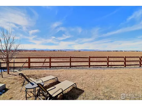 834 Camberly Dr, Windsor, CO 80550 photo 32