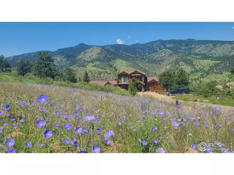 956 Silver Sage Ln, Lyons, CO 80540 photo 4