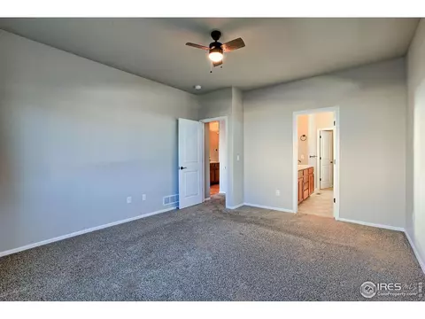 829 Mt Sneffels Ave, Windsor, CO 80550 photo 24