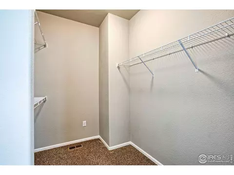 829 Mt Sneffels Ave, Windsor, CO 80550 photo 27