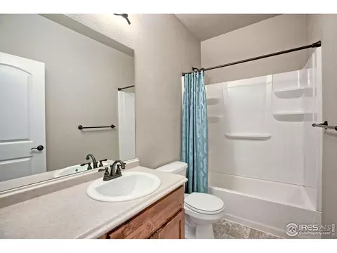 829 Mt Sneffels Ave, Windsor, CO 80550 photo 10