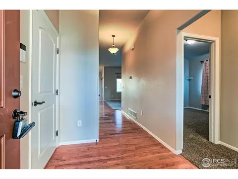 829 Mt Sneffels Ave, Windsor, CO 80550 photo 5