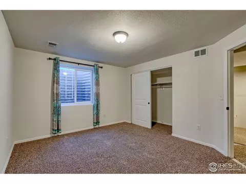 829 Mt Sneffels Ave, Windsor, CO 80550 photo 30