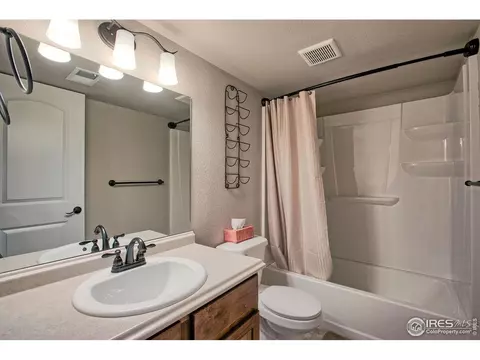 829 Mt Sneffels Ave, Windsor, CO 80550 photo 32