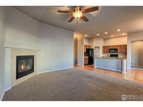829 Mt Sneffels Ave, Windsor, CO 80550 photo 13