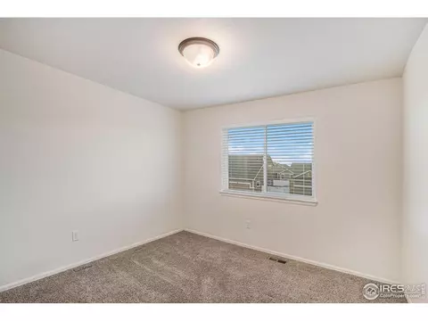 1004 Muntjac St, Severance, CO 80550 photo 14