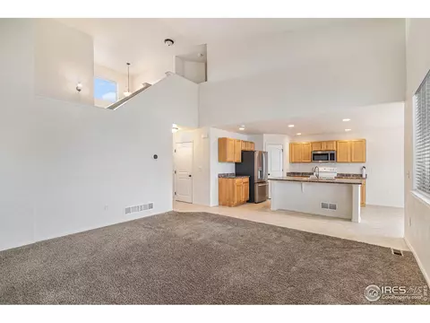 1004 Muntjac St, Severance, CO 80550 photo 5