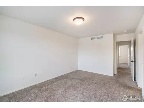 1004 Muntjac St, Severance, CO 80550 photo 20