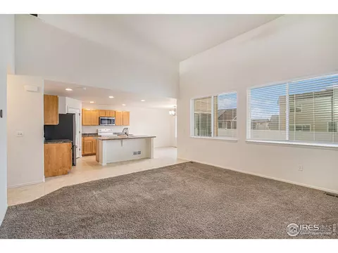 1004 Muntjac St, Severance, CO 80550 photo 4