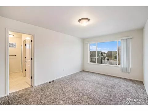 1004 Muntjac St, Severance, CO 80550 photo 19
