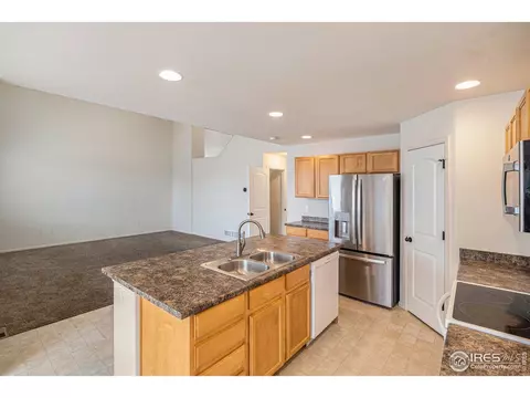 1004 Muntjac St, Severance, CO 80550 photo 7