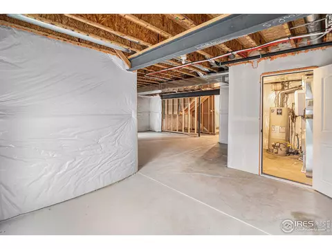 1004 Muntjac St, Severance, CO 80550 photo 29